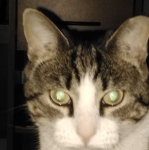 Meet your Posher, James